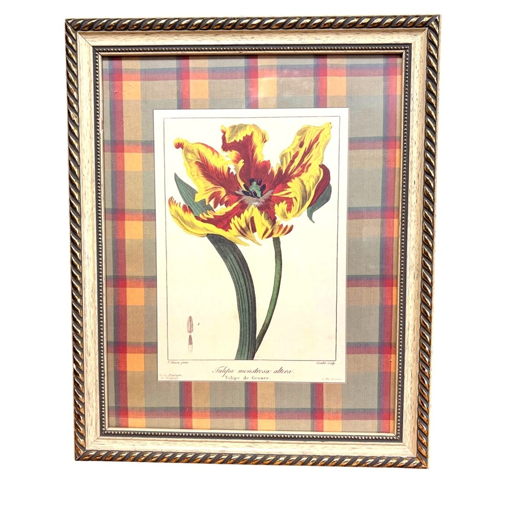 Set Of 2 Framed Tulip Botanical Prints Plaid Matting & Gold-Tone Frames - Picture 2 of 4